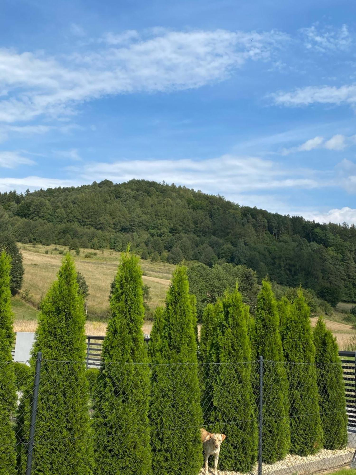 Domek Pod Sosnowa Gora Zelazno  ภายนอก รูปภาพ